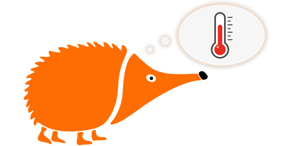 Imagen cabecera El echidna dice la temperatura