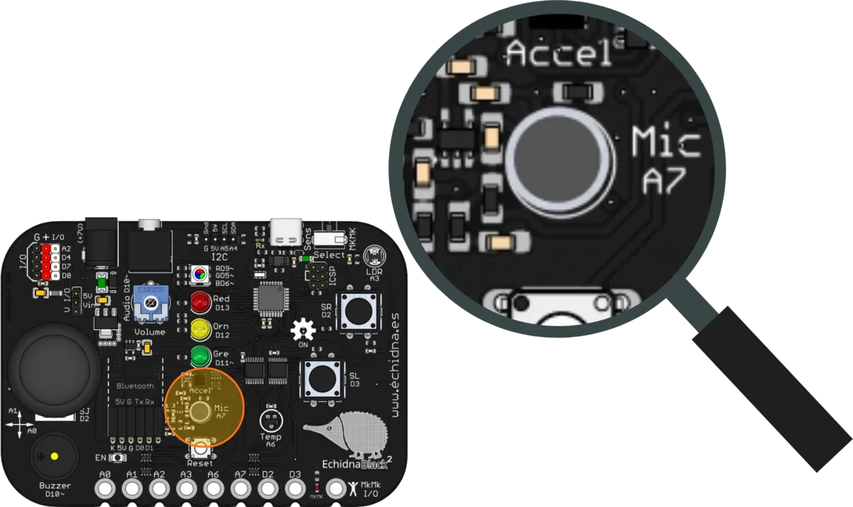 La placa EchidnaBlack2 con una lupa sobre el micrófono, rotulado Mic A7.