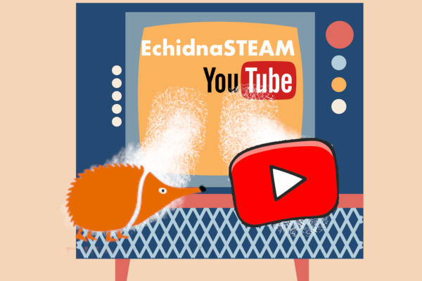Canal YouTube de EchidnaSTEAM