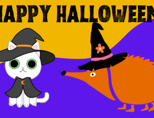 Happy Halloween! Disfraza tu gato